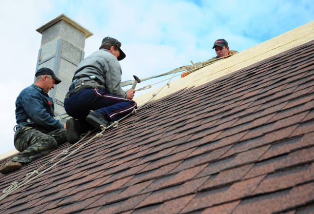 Best Shingle Roofing Installation  in Diamondhead, MS